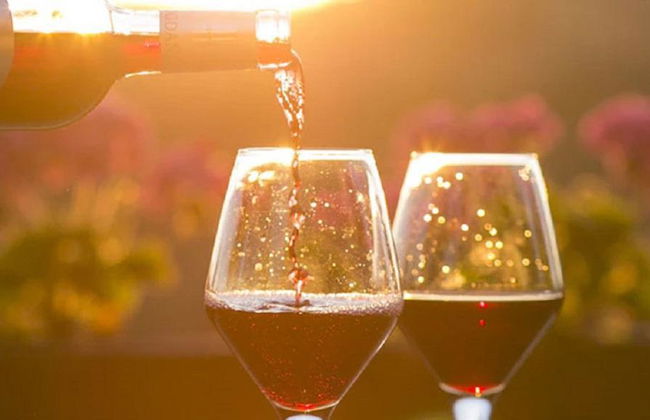 Experiencia en los viñedos de Constantia - Foto 3